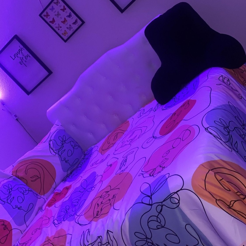 Queen Headboard & bed frame